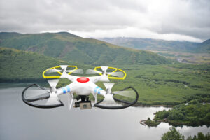 Drone con la vida silvestre